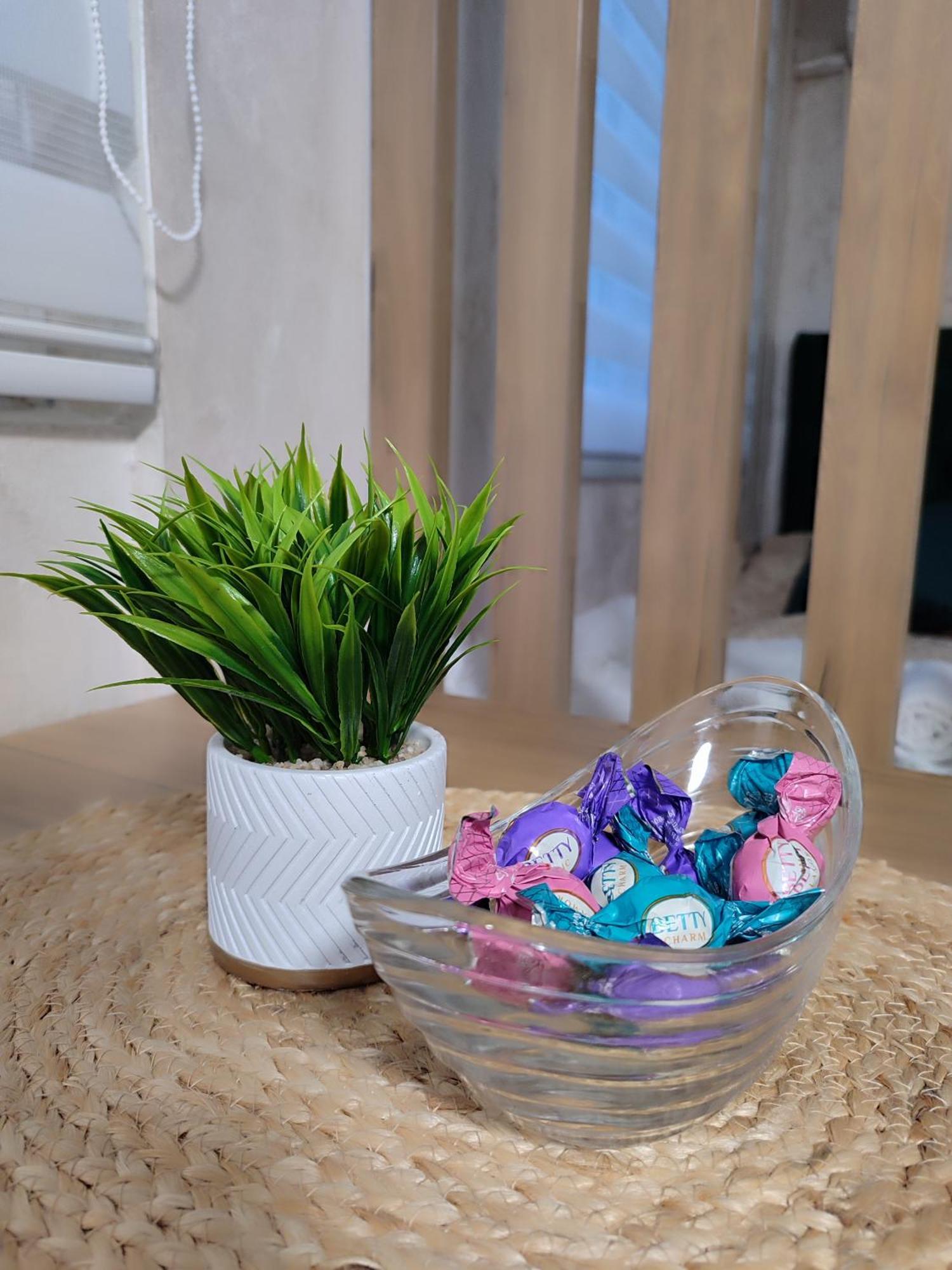 Studio Apartman Free Parking Rubikon Belgrad Cameră foto